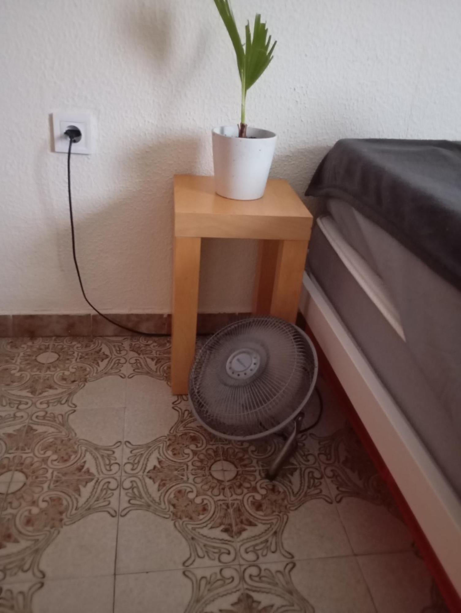 Grosses Modernes Zimmer "Silber" Fuer 2 Personen Und Katzenliebhaber Walencja Zewnętrze zdjęcie