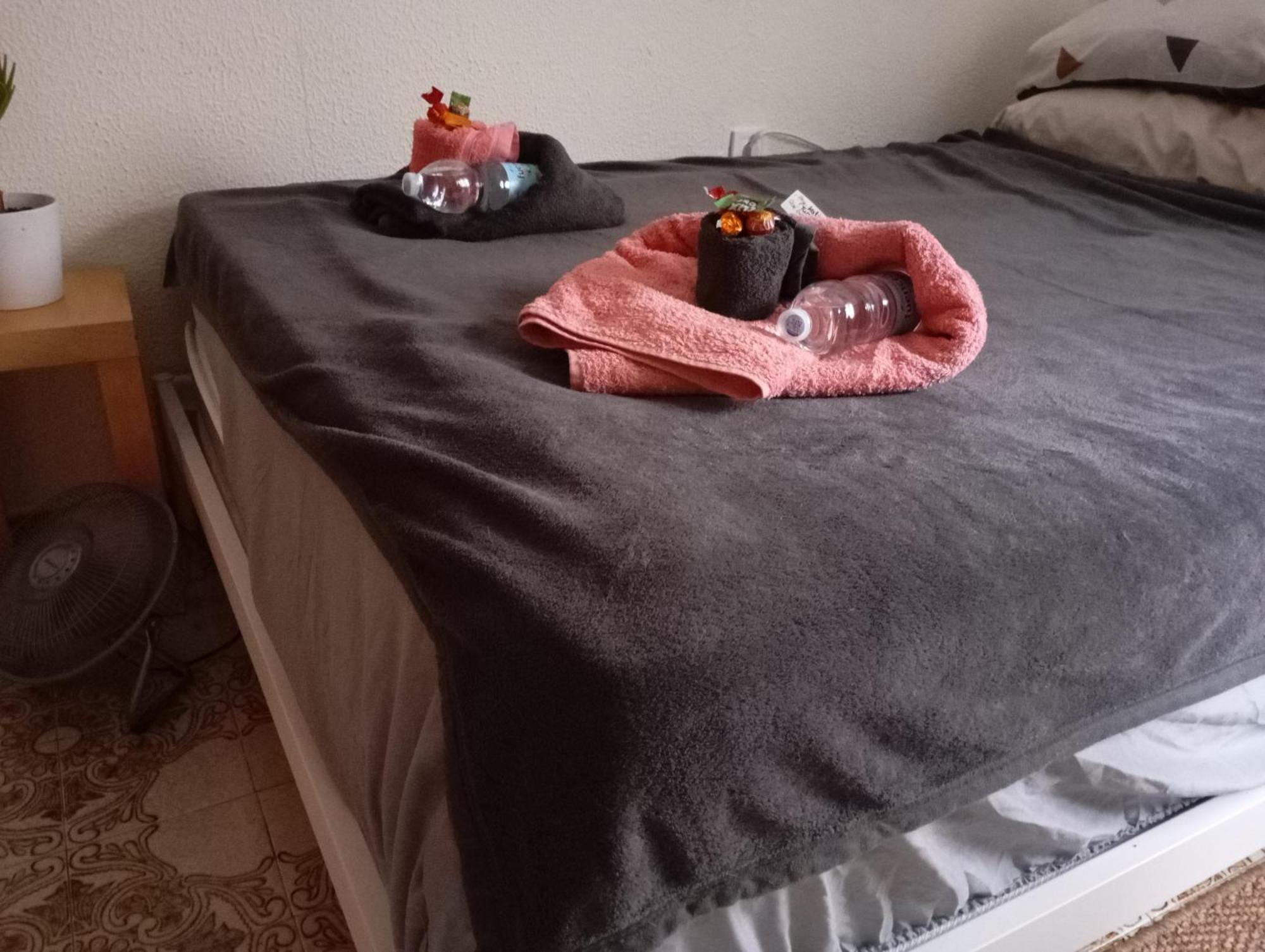 Grosses Modernes Zimmer "Silber" Fuer 2 Personen Und Katzenliebhaber Walencja Zewnętrze zdjęcie